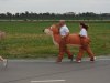 DSC01354
